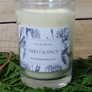 sweet and spicy soy candle